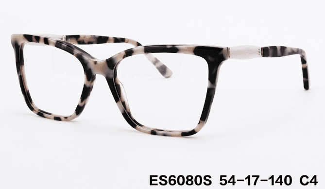 ES6080S C4